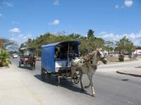 horse and cart cuba