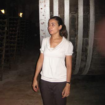 winery uraguay