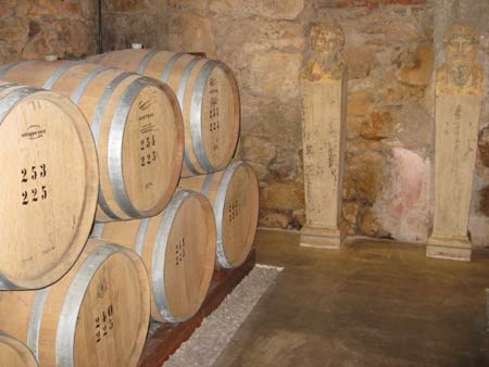 Winery tour at Montevideo
