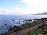 teOra view