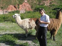 Chris with llama
