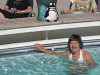 chris in pool with penguin