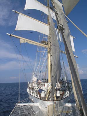 Clipper ship star flyer