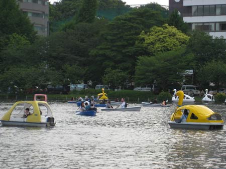 Swan pedalos on a Tokyo lake
