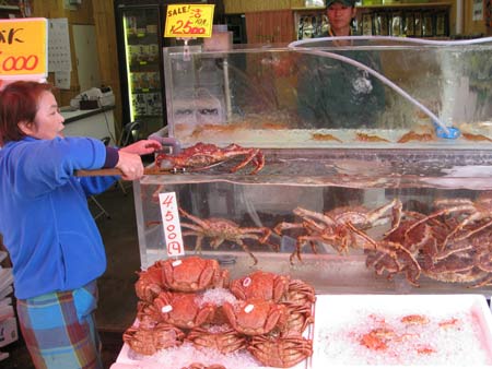 fish hakodate market
