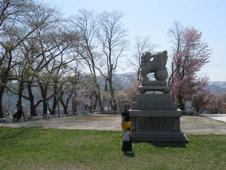 temple grounds and cherry blossom, otaru
