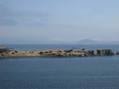 kodiak harbour