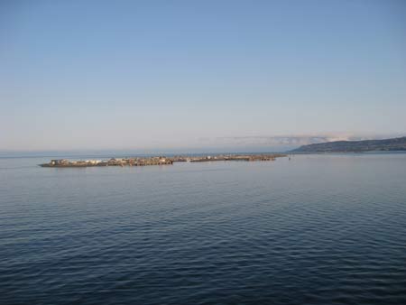 Kodiak harbour