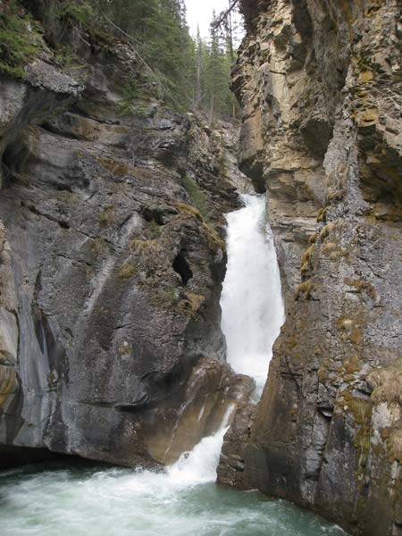 Water fall near emerald lake bc