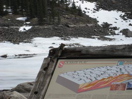 Squirrel at Emerald Lake BC
