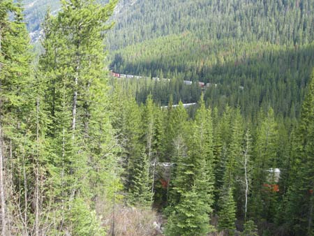 train  leaving kicking horse tunnels bc