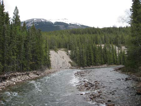 Road to Lake Maligne, jasper