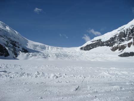 Vied of the columboia icefield