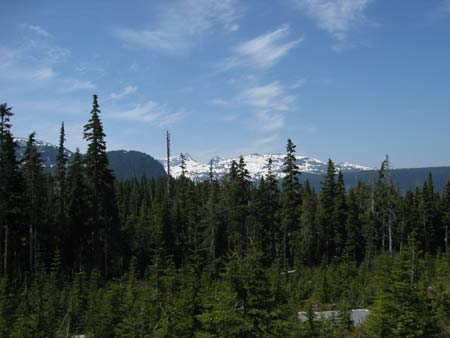 Mount Washington, Vancouver Island