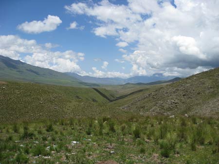 Road cafayate to Tafi