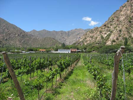 Cafayate, Argentina