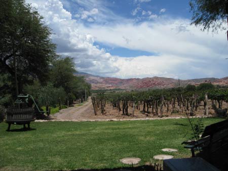 Cafayate, Argentina