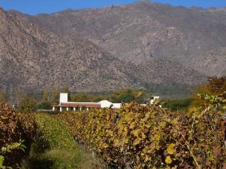 Cafayate wine resort hotel