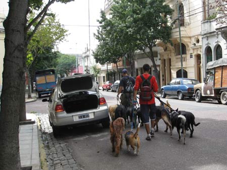 walking round Buenos Aires