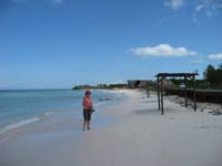 chris beach