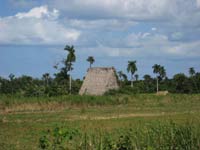 tobacco drying shed