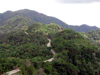 la farola road