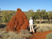 Australia trip - giant ant hill